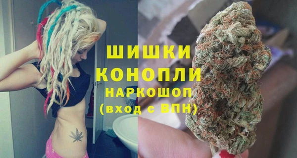 ПСИЛОЦИБИНОВЫЕ ГРИБЫ Белоозёрский