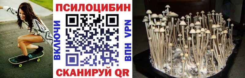 Псилоцибиновые грибы GOLDEN TEACHER  площадка какой сайт  Невьянск 